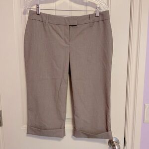 Express Editor Bermuda Shorts